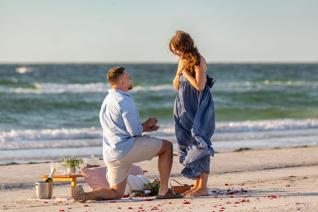 Luxury Picnic Sand Key Clearwater Beach